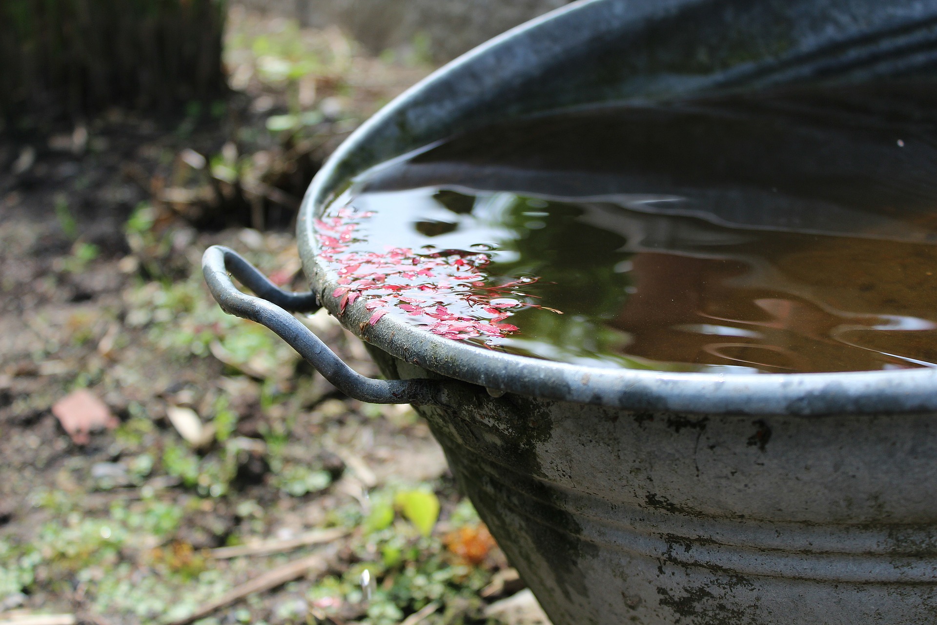 Water in bucket