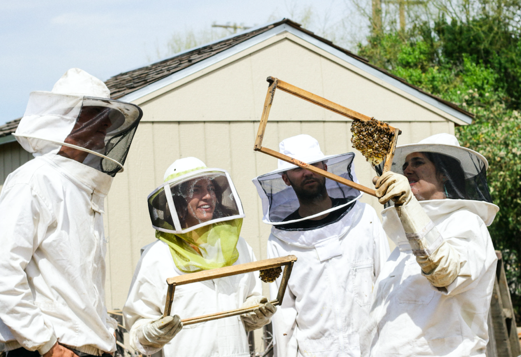 Beekeepers