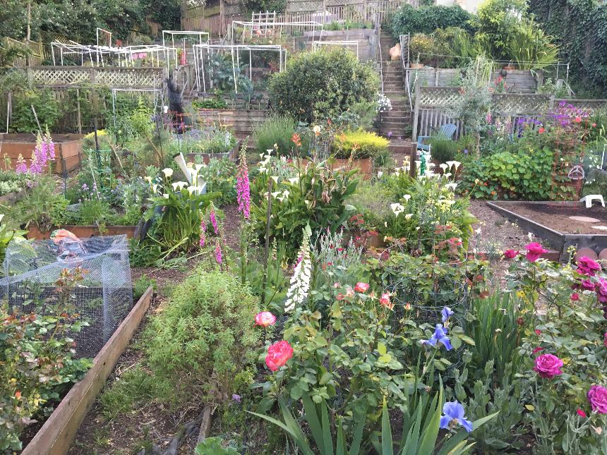 Connecticut Friendship Garden