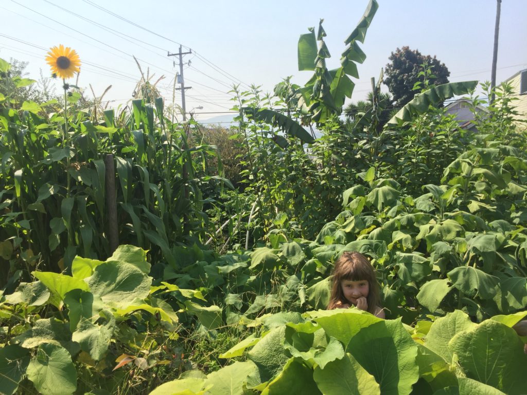 Vis Valley Ag Garden