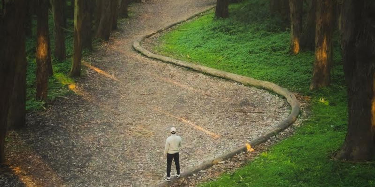 Goldsworthy in the Presidio